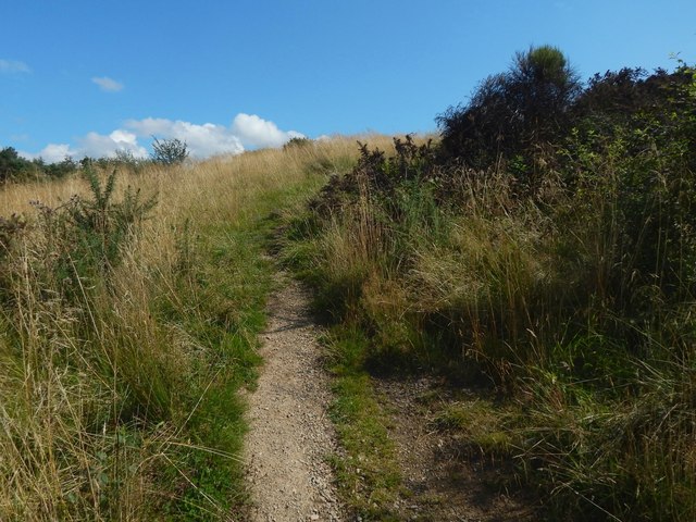 Path leading up Hurlet Hill © Lairich Rig :: Geograph Britain and Ireland