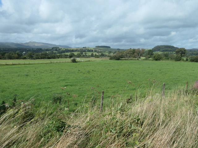 Farmland to the east of Llanuwchllyn