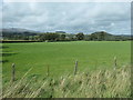 SH8830 : Farmland on the south bank of Afon Twrch by Christine Johnstone