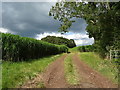 Farm track off Haywood Lane