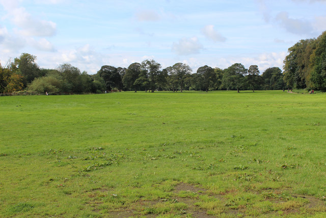 Green Expanse in Witton Country Park
