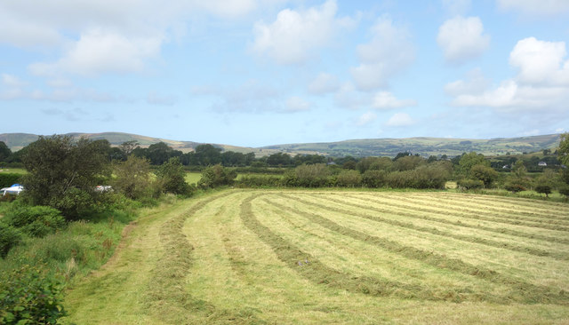 New Mown Hay