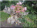 Use of an old tree stump in All Saints Churchyard