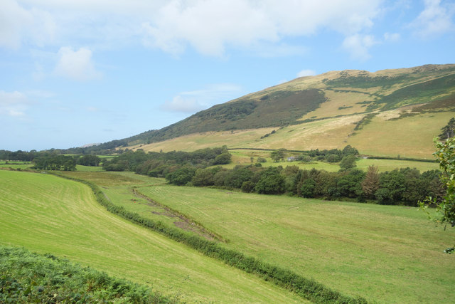 The Afon Fathew Valley below Dolgoch