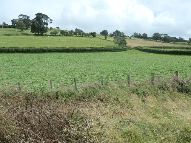 Farmland below Llechweddystrad