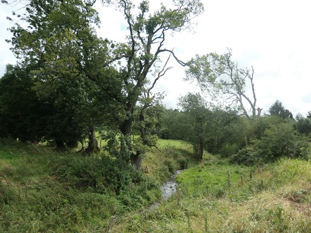 Issue-fed stream near Tyddyn Goronwy