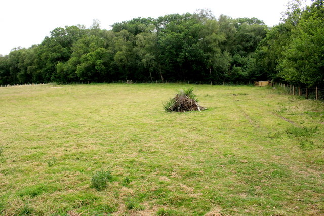 Pasture Field on Colyton Hill