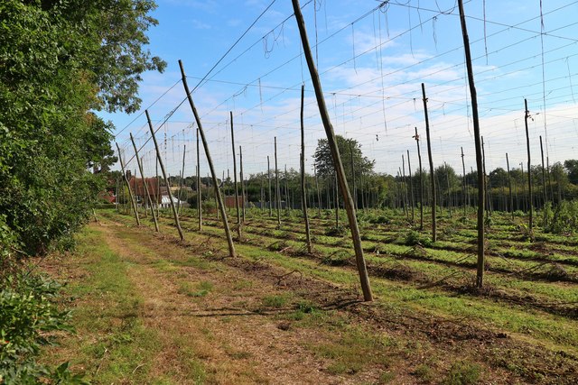 Cleared hop field by Lamberhurst Road © Oast House Archive :: Geograph ...