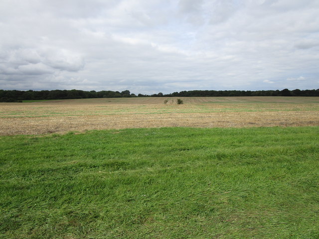 Stubble field near Woolfox Wood