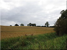  : Stubble field near Clipsham by Jonathan Thacker