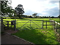 Field entrance off Smithy Lane, Seighford