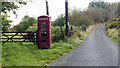 Redundant telephone call box