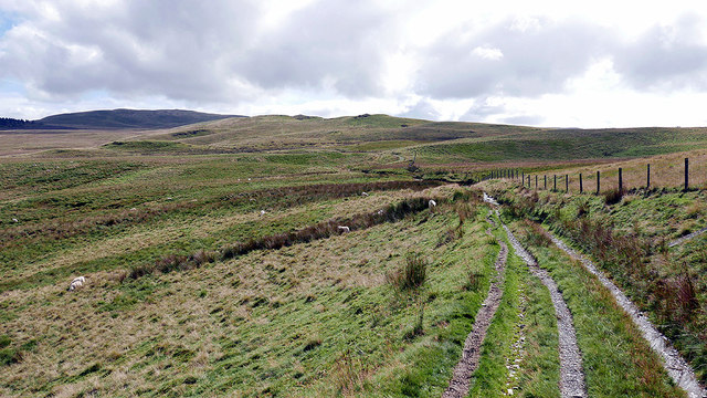 Bridleway on Pen Rhiwlas © John Lucas cc-by-sa/2.0 :: Geograph Britain ...