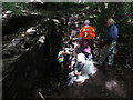 Industrial archaeology, Cockshot Dene, West Wylam