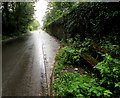 Partly overgrown bench alongside Dimfields Road, St Donats