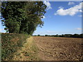 Prepared field near Wyton Lodge Farm