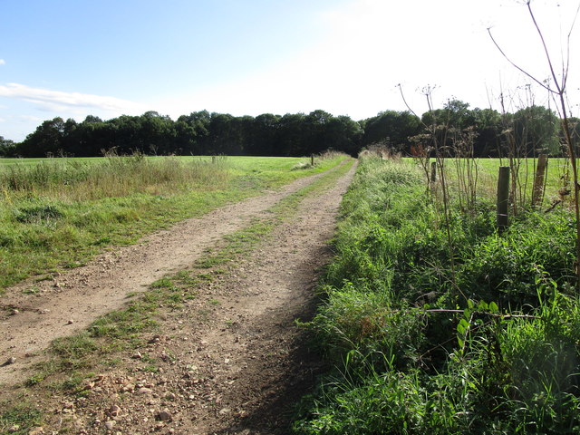Farm track, Kelham Hills