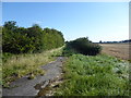 Overgrown road near Foxby Lane