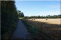 SP2973 : Connect 2 Kenilworth cycle route by Ian S