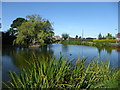 The village pond at Westwoodside