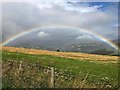 Rainbow over field