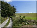 The South Downs Way heading east from Long Bridge, Alfriston