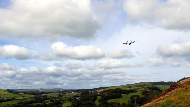 A pair of Ospreys flying over Cwm Ystwyth