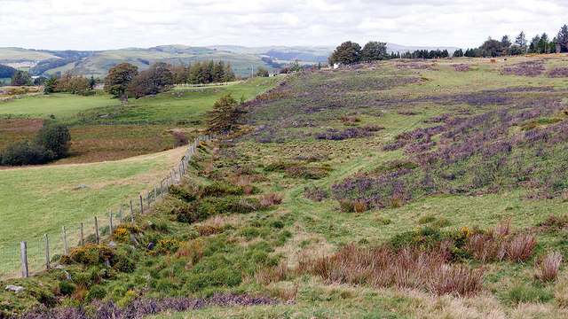 Public path leading to Bryn-mawr
