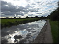 Chesterfield Canal at Misterton at dusk