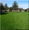 Green and trees in the southeast corner of Pinewood Square, Eglwys Brewis