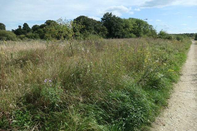 Land on the north side of Oakhill nature reserve