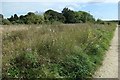 Land on the north side of Oakhill nature reserve