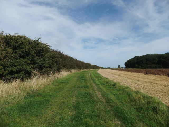 Path on Wold Newton Top