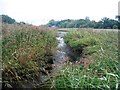 Tidal creek at Eling