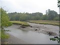 Tidal creek at Eling