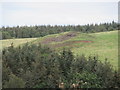 An angry pustule of igneosity near Oxnam in the Scottish Borders