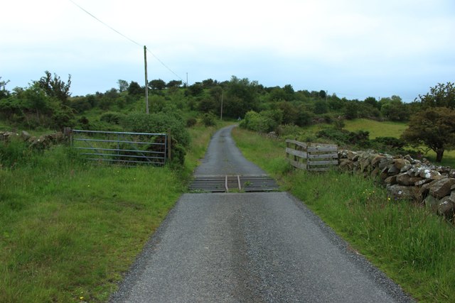 Minor road with Cattle Grid