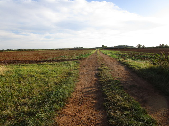 Farm track off The Drift