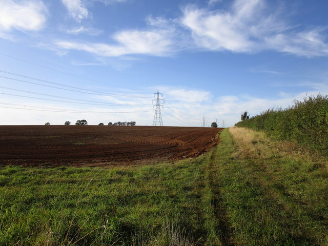 Prepared field, Ryhall Heath