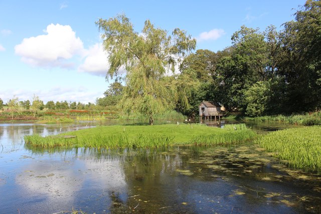 Duck Pond at Jupiter Artland