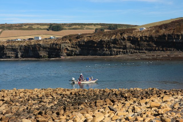 Paddle surfing dog at Kimmeridge Bay © Oast House Archive :: Geograph ...