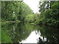 The Grand Union Canal by Broadwater Farm