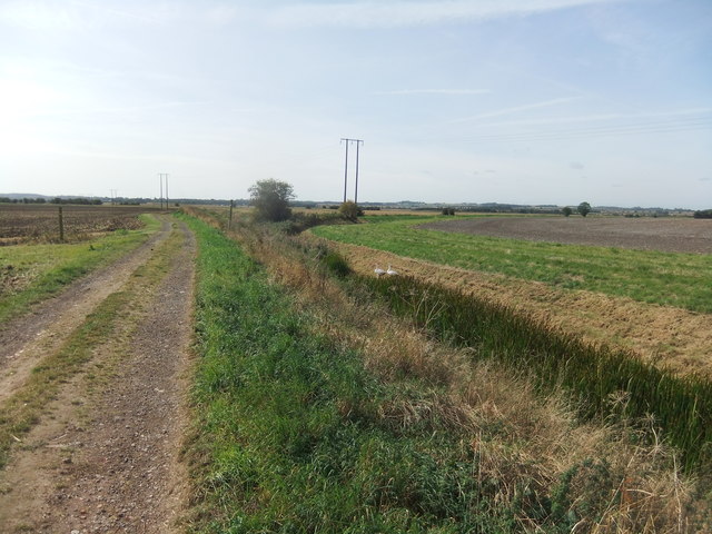 Track by West Drain