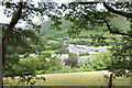 Abergynolwyn from the Railway