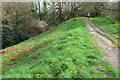 Poole Harbour Trail on Wareham Town Walls