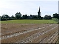 A field of stubble