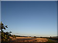 Evening view towards farm buildings