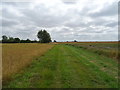 Farm track near Woodhouse Fruit Farm