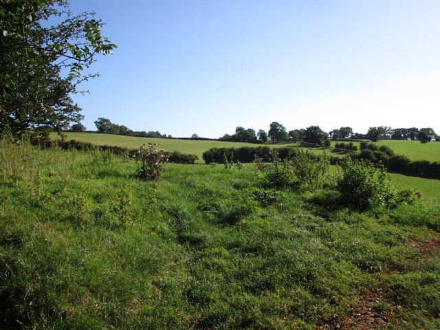 Grassland at Newcastle, Gwent