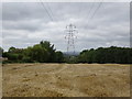 Cornfield Pylon